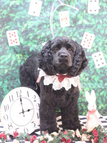 20250424天ちゃん